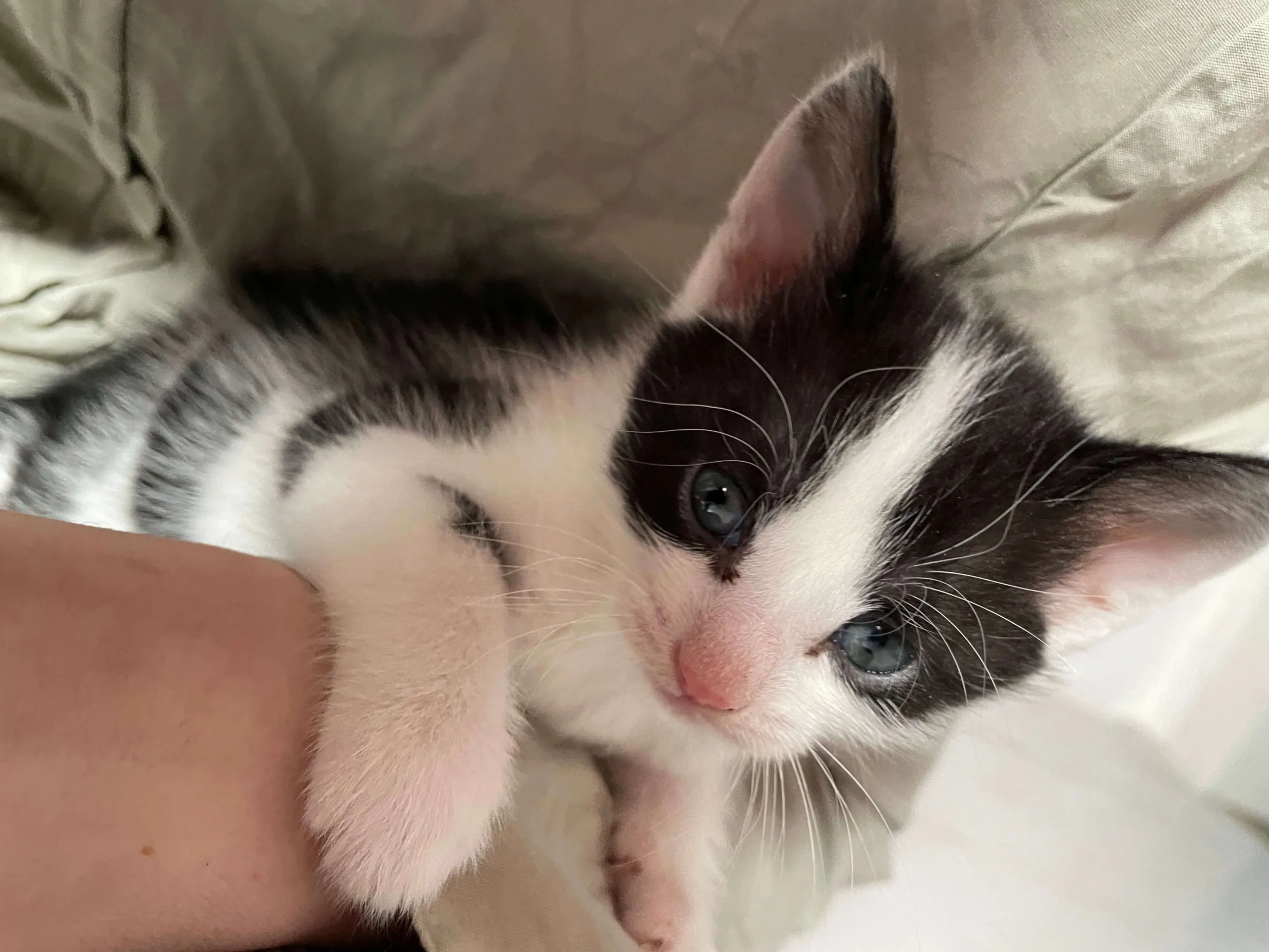 Marley