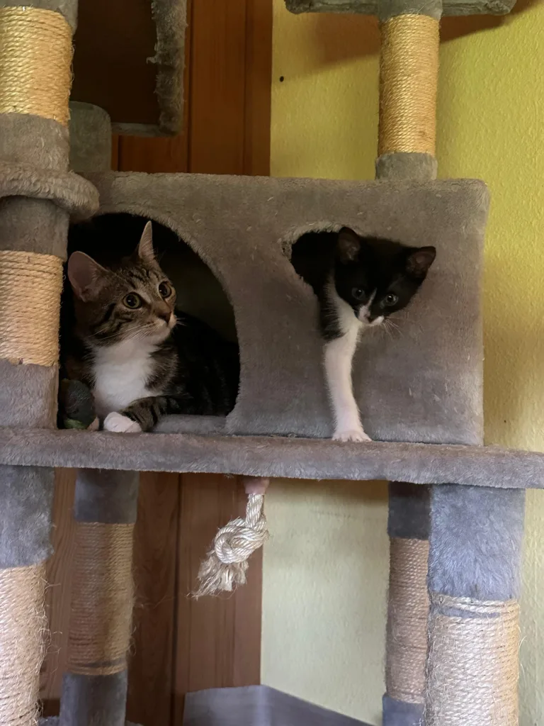 Hexe und Baby