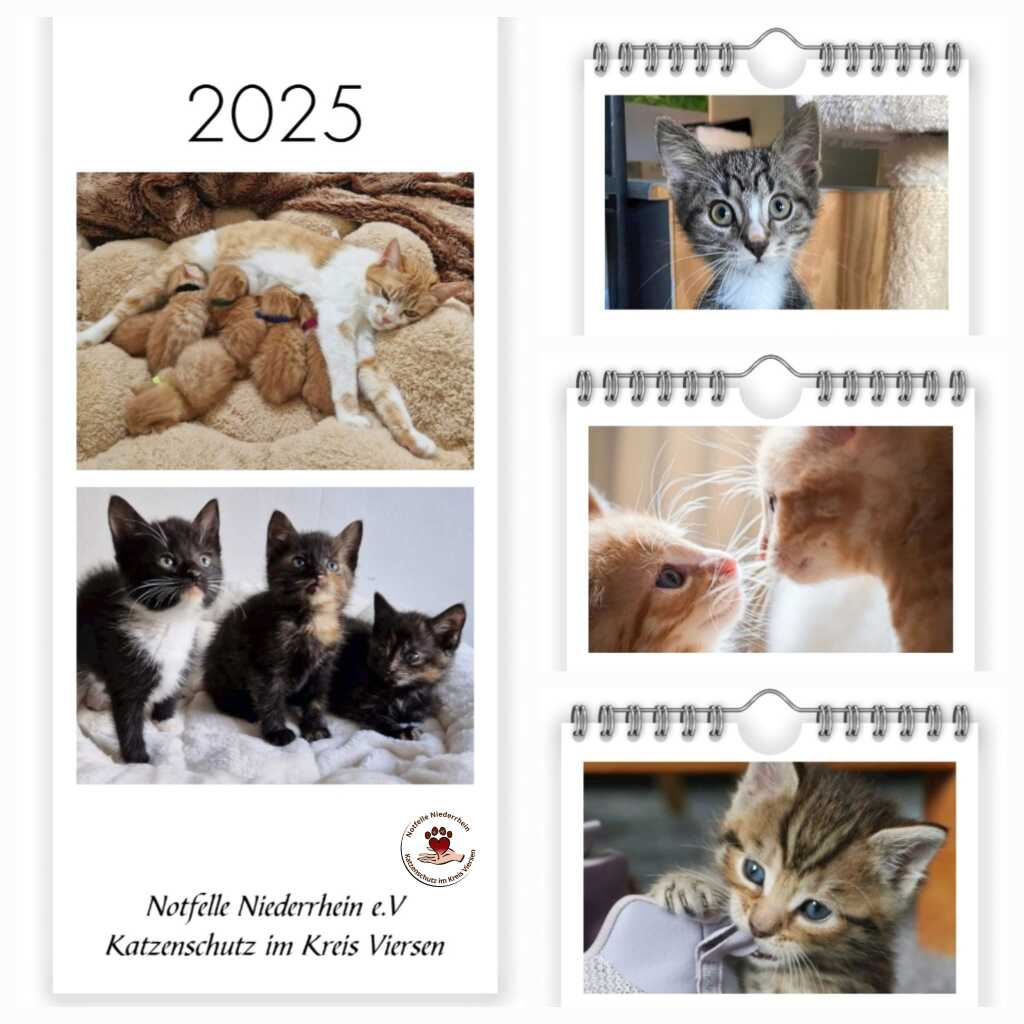 Kalender