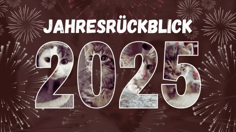 Jahresrückblick 2025 der Notfelle Niederrhein e.V.