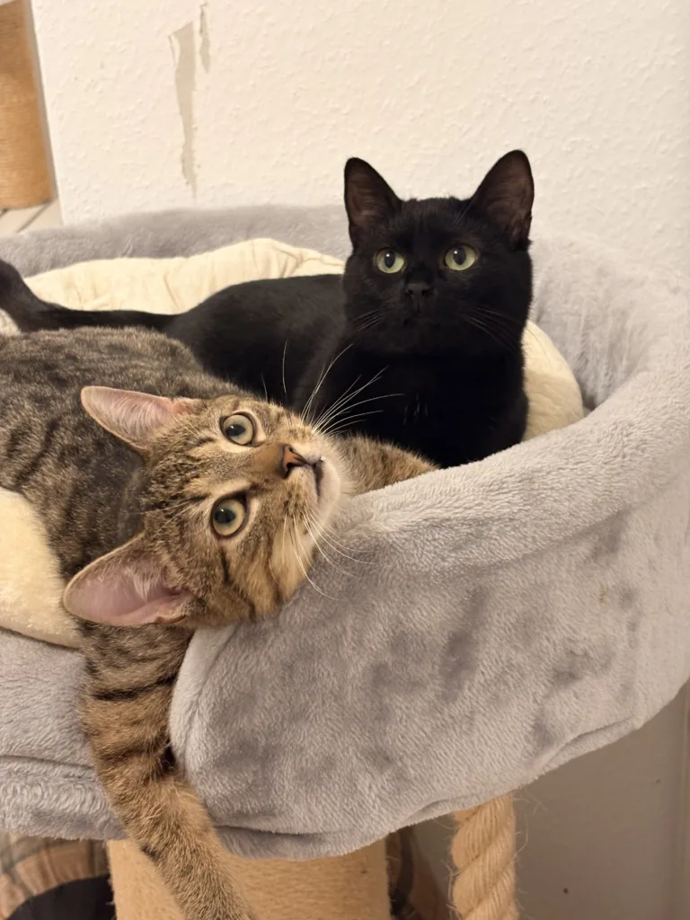 Hazel & Sally (10 Monate)