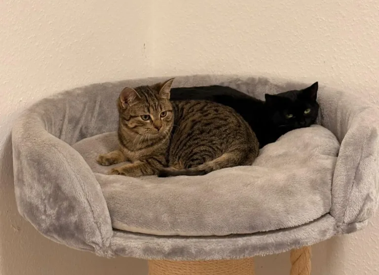 Hazel & Sally (6 Monate)