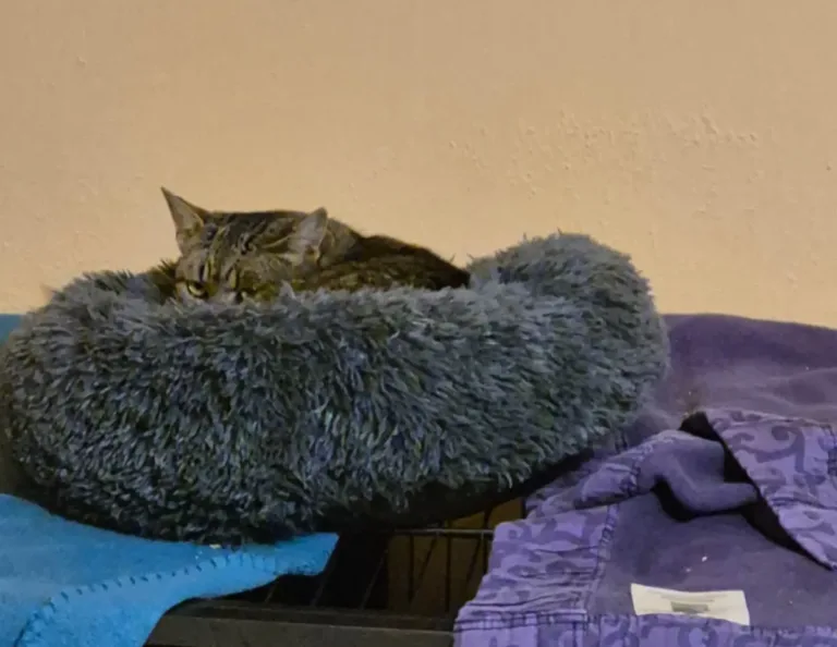 Stinker sucht sein kleines Stück Glück