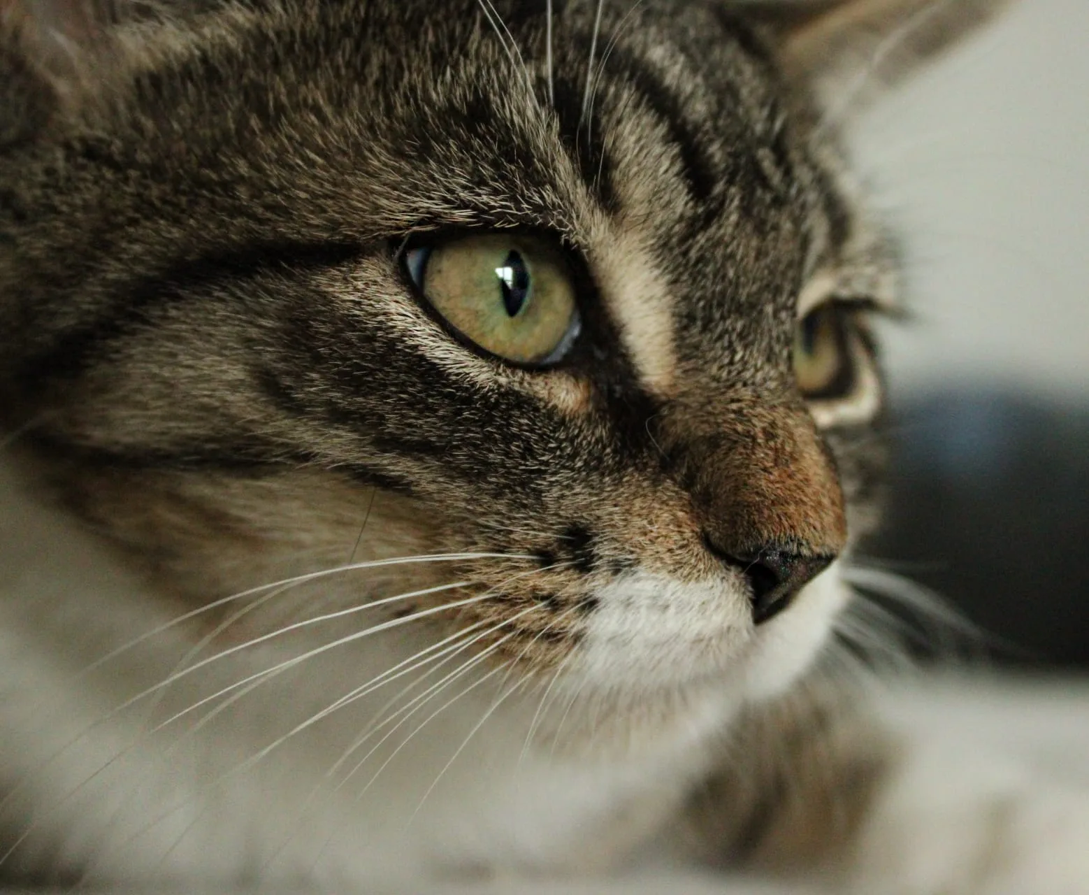 Luke – mit schmerzhafter Vergangenheit