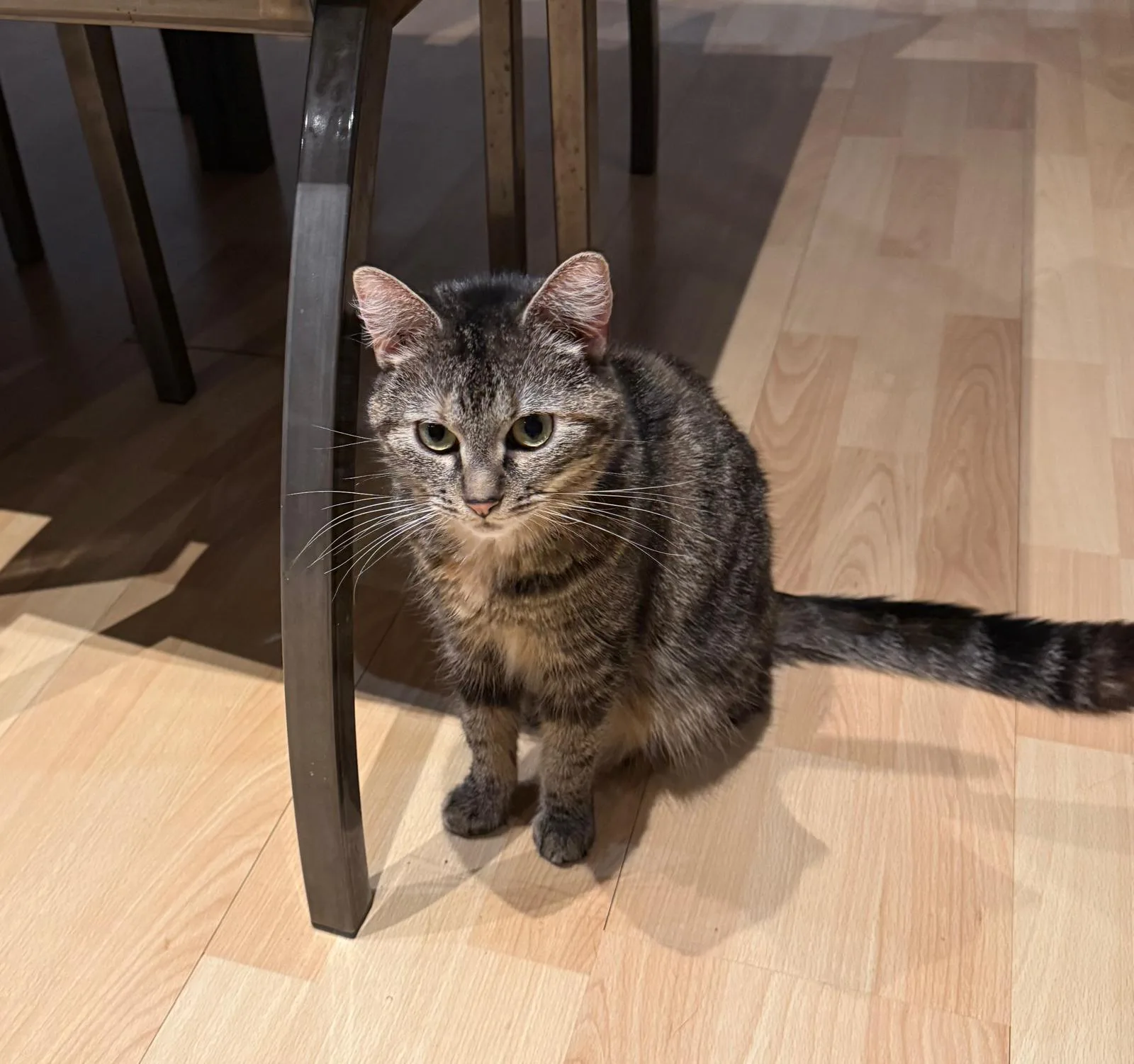 Daggy – neugierig sozial 🐾