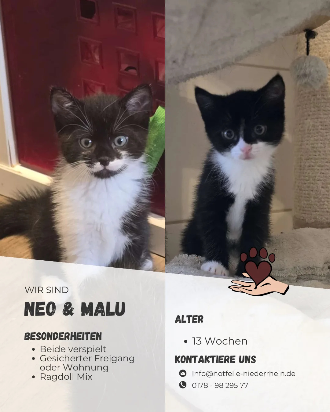 Neo & Malu (13 Wochen)